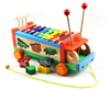 Wooden Animal Push Pull Along Toy 
